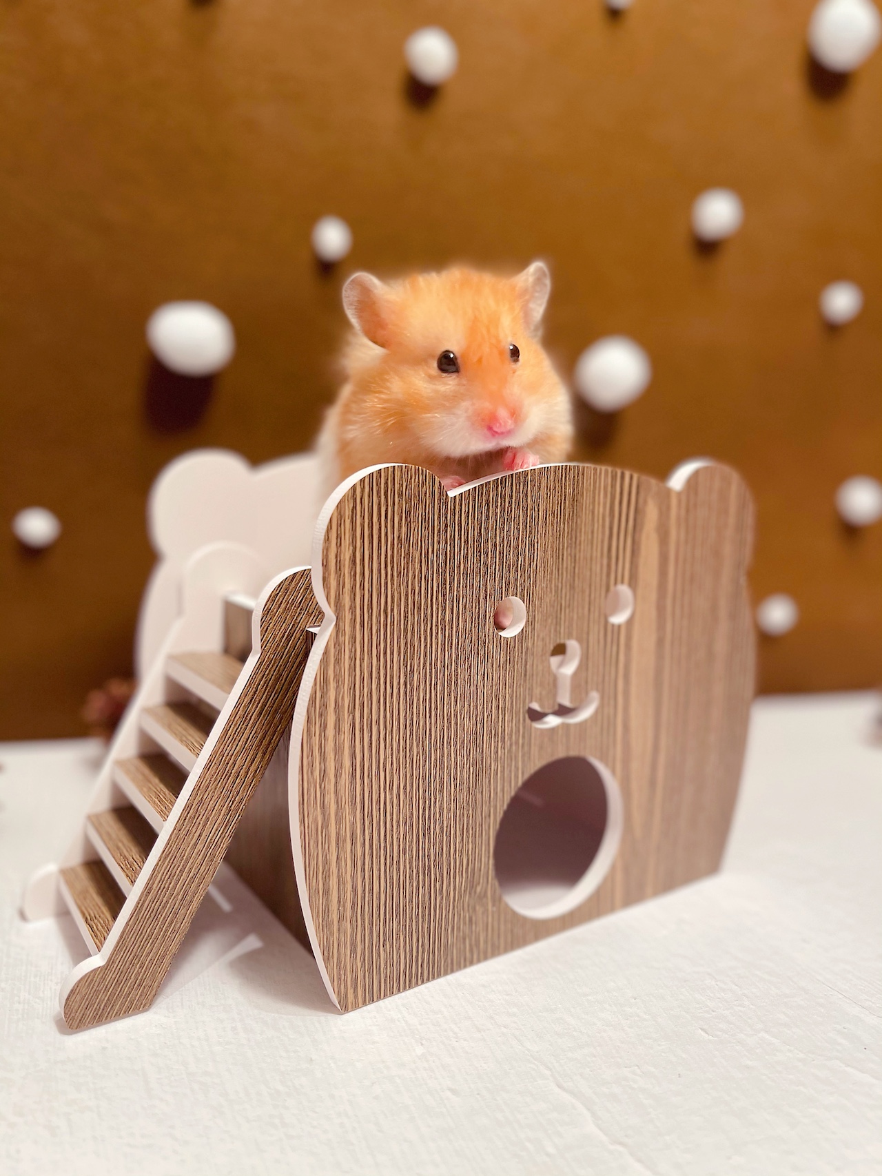 【公式】ハムスターボックス (HAMSTER BOX) デザイン性を追求した小動物専用ハウス＆グッズ